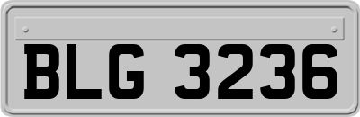 BLG3236
