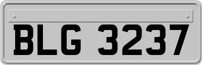 BLG3237