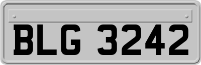 BLG3242