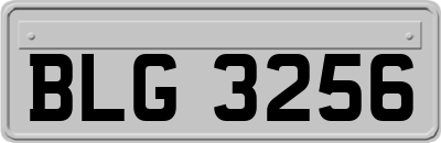 BLG3256