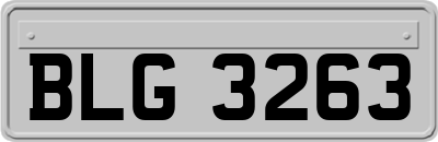 BLG3263