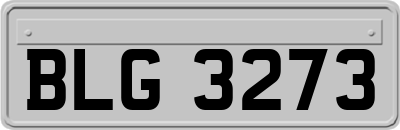 BLG3273