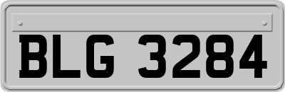 BLG3284