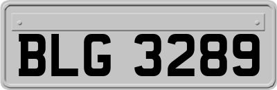 BLG3289