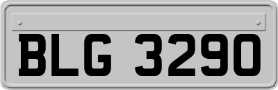 BLG3290