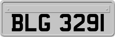 BLG3291