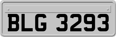 BLG3293