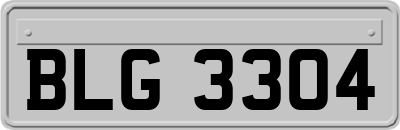 BLG3304