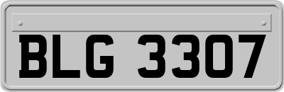 BLG3307