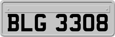 BLG3308