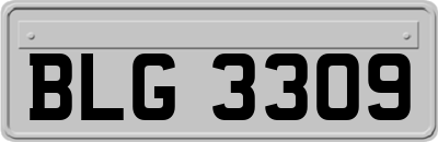 BLG3309