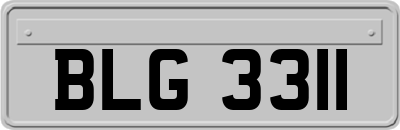 BLG3311