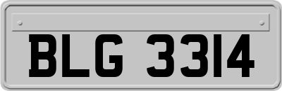 BLG3314