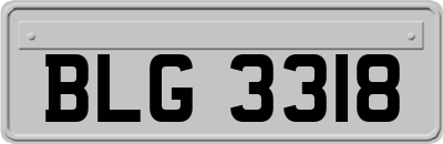 BLG3318