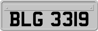 BLG3319