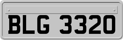 BLG3320