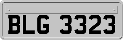 BLG3323