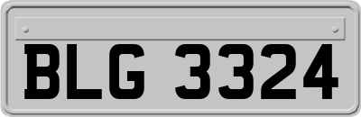 BLG3324