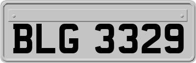 BLG3329