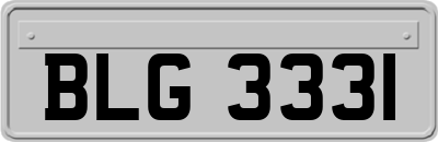 BLG3331