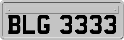 BLG3333
