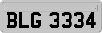 BLG3334