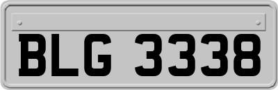 BLG3338