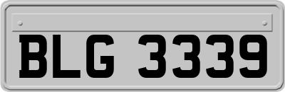BLG3339