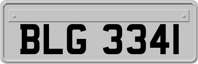 BLG3341