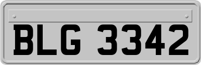 BLG3342
