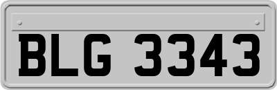 BLG3343