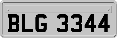 BLG3344