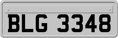 BLG3348