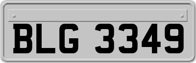 BLG3349