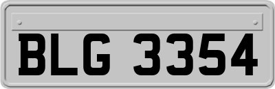 BLG3354