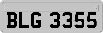 BLG3355