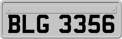 BLG3356