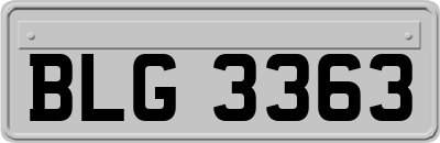 BLG3363