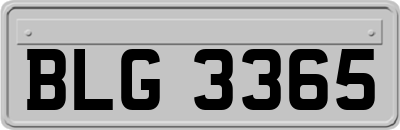 BLG3365