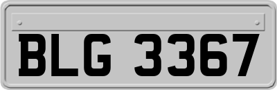 BLG3367
