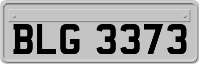 BLG3373