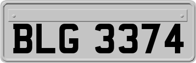 BLG3374