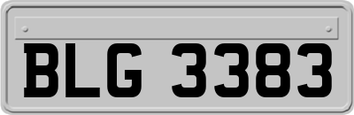 BLG3383