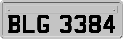 BLG3384