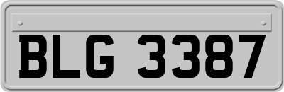 BLG3387
