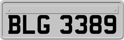 BLG3389