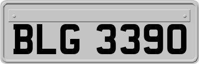 BLG3390