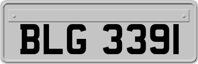 BLG3391