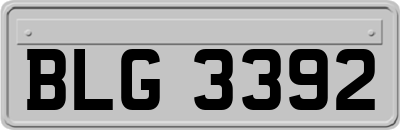 BLG3392