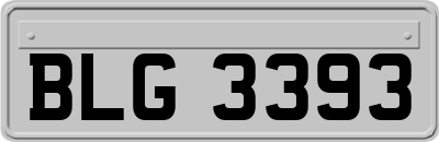 BLG3393